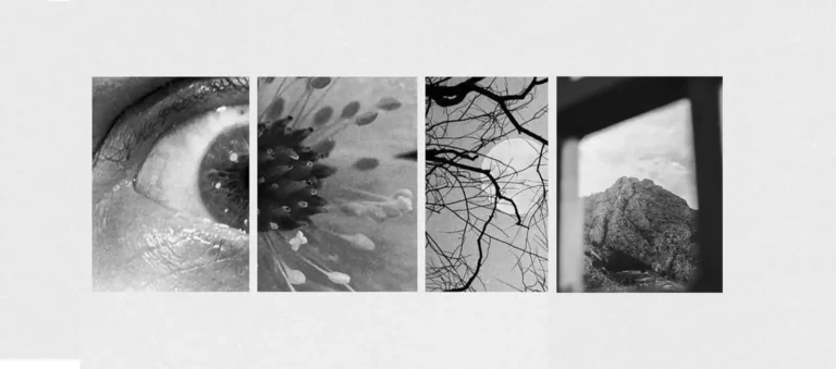 It’s One Land – A Poem on Cosmic Oneness